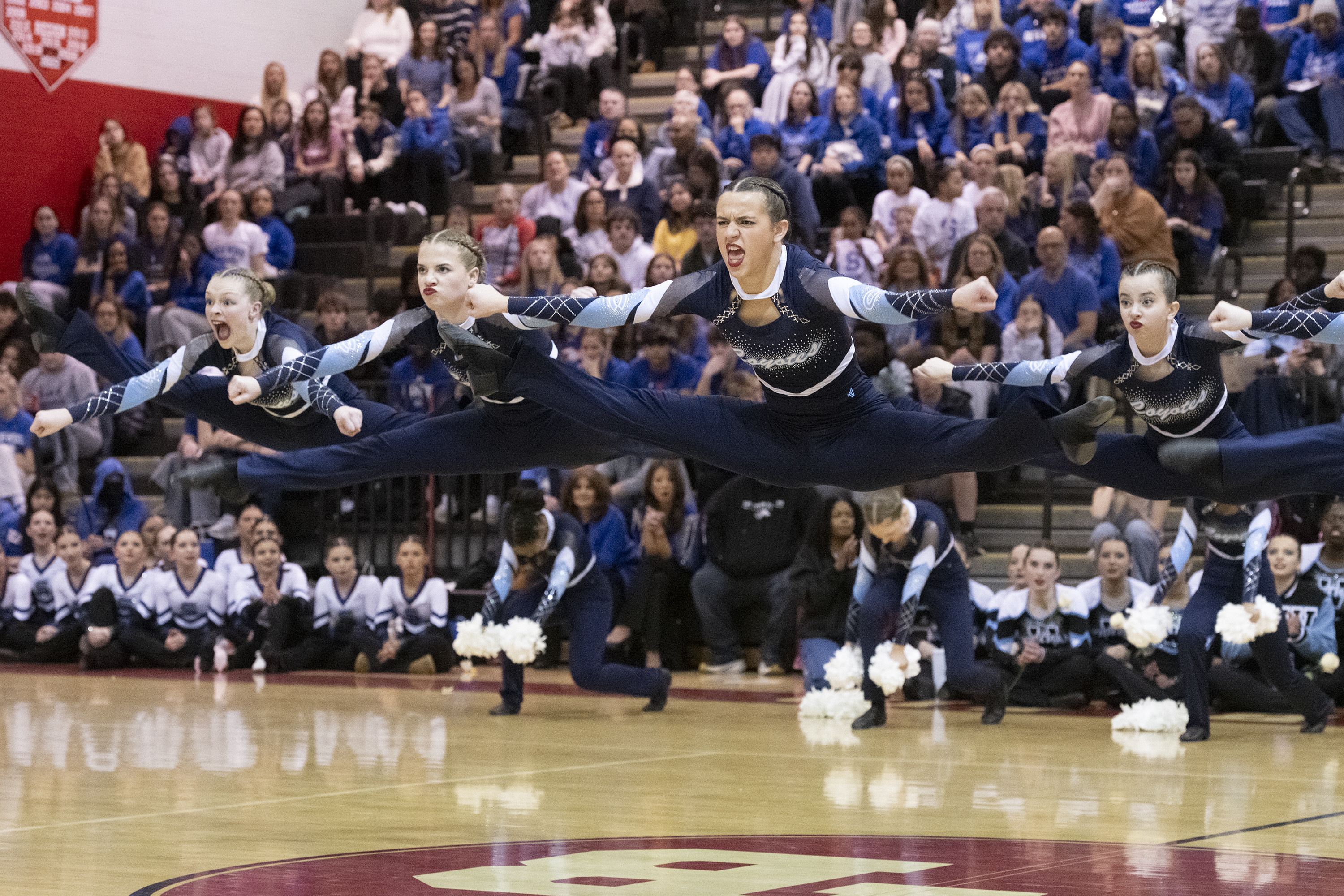 Poms 5.jpg