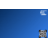 SECAC for Webs.gif