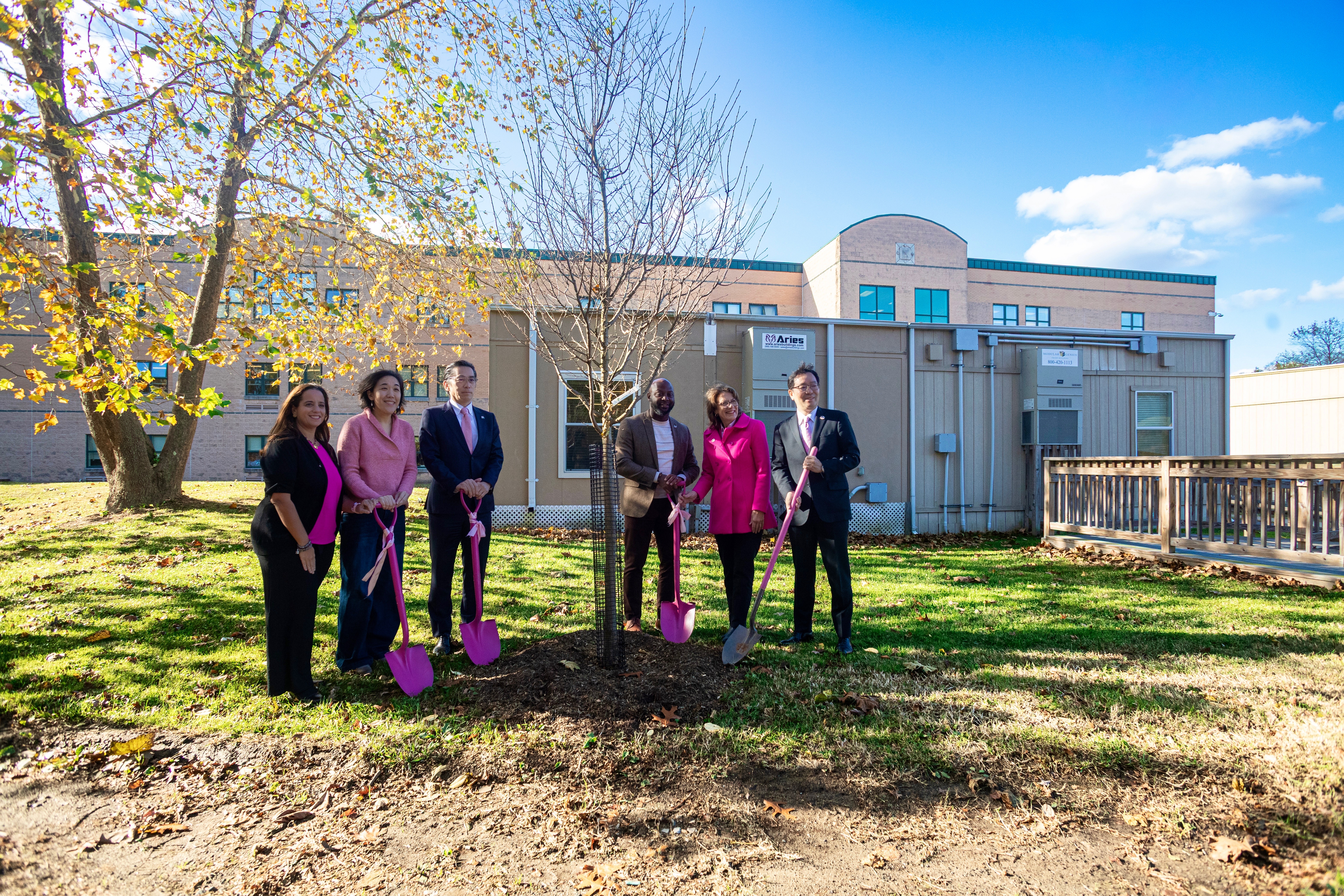 Cherry Blossom Trees at Albert Einstein.jpeg