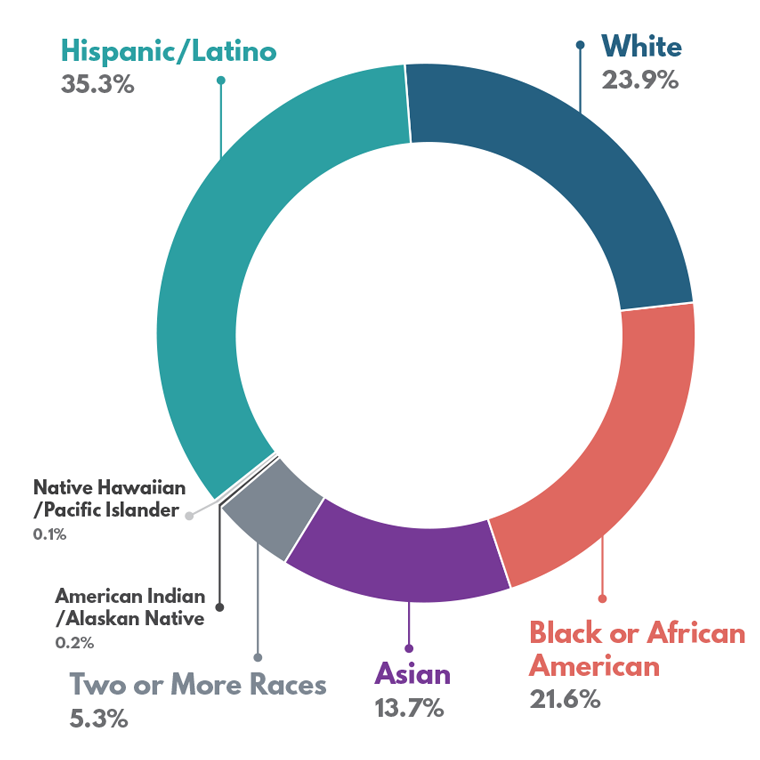 Student Demographics 2022-2023