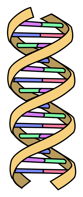 Inheritance and Variation of Traits