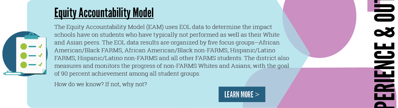 Equity Accountability Model Chevron