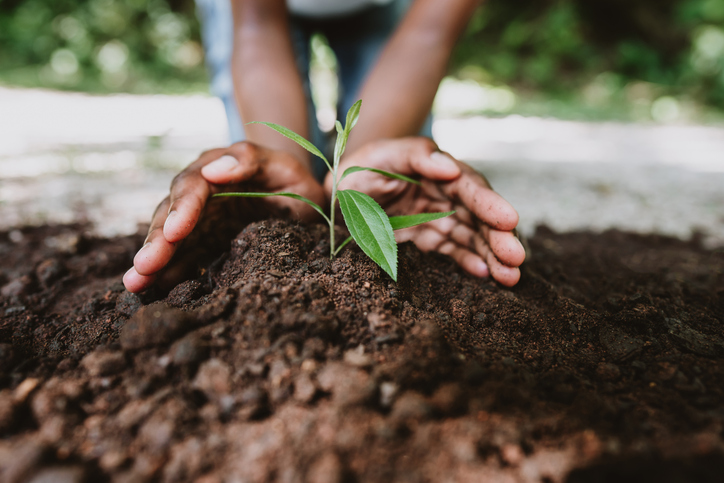 green schools, earth day.jpg